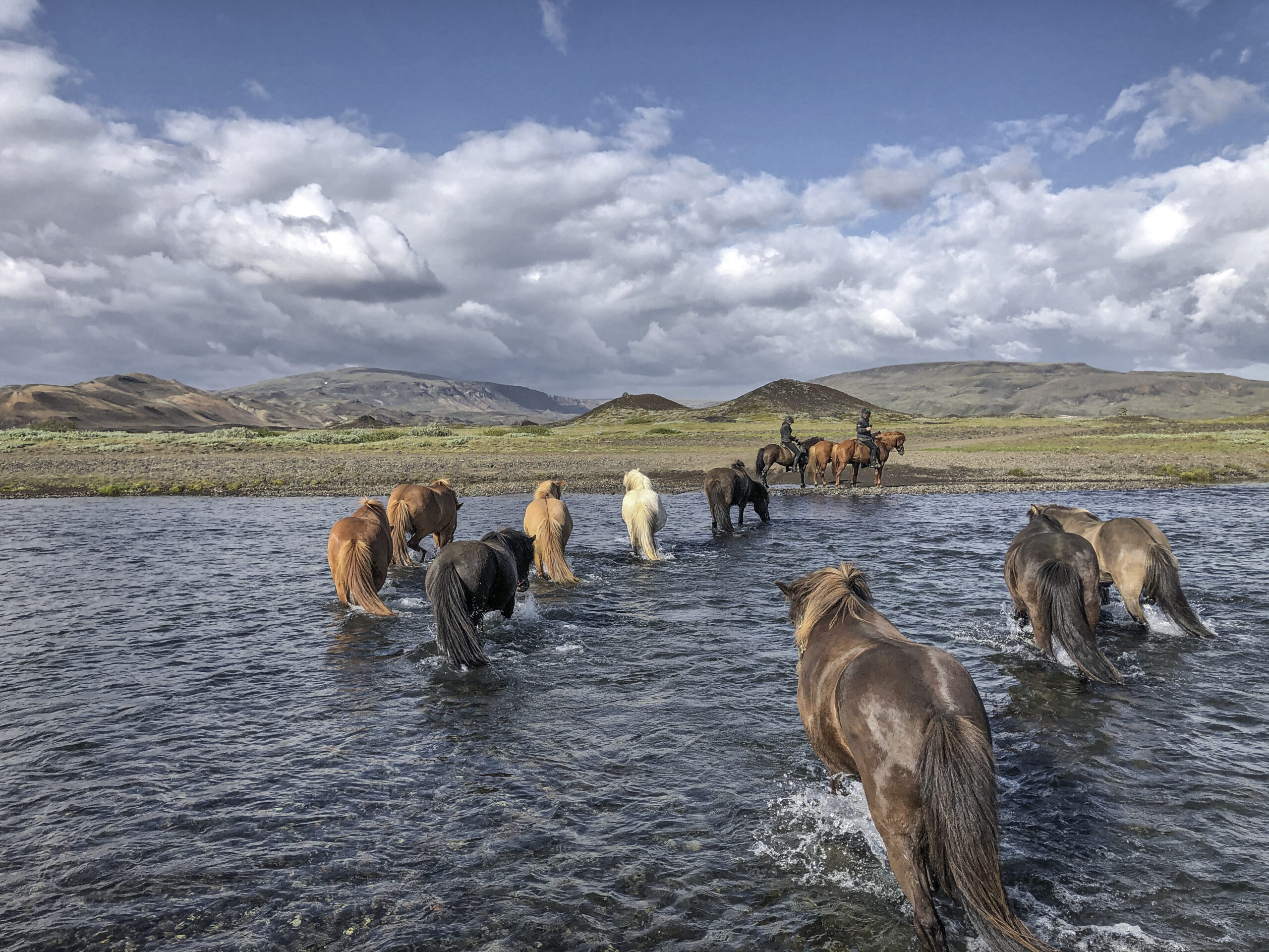 Riding tours in iceland